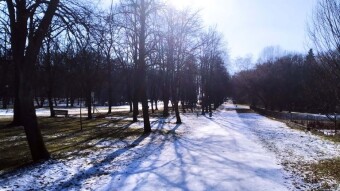 Winter Doesn't Let Up. Freezing But Sunny - My Actifit Report Card: February 19, 2025