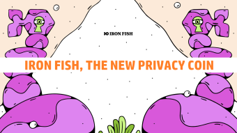 Iron Fish, the new minable privacy coin