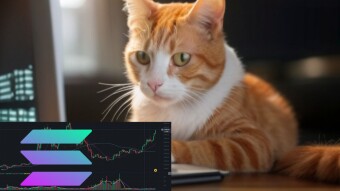 I Lost Everything on Crypto... But Bitcoin and Ethereum Saved Me