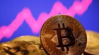 Curious about profitable coins?