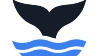WhalesHeaven is a trustless platform for swapping large amounts