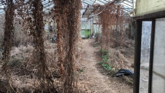 Cultural changes happening fast: Time to grow food