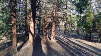 Spring is holding on bravely - My Actifit Report Card: March 7, 2026