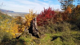 Autumn Has Finally Arrived and Fall Memories Are Here