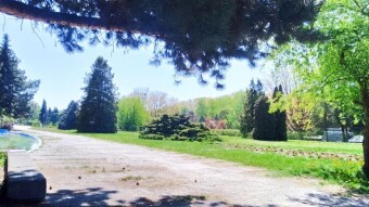A quiet, warm and slow Sunday - My Actifit Report Card: May 3, 2026