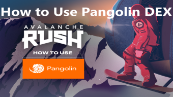 Pangolin Defi Avalache (AVAX) Exchange Review  -  How to Become Avalache Network Based Liquid Provider on Pangolin