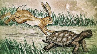 The Race - An Update