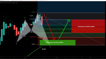 Bitcoin (BTC) forming bullish Shar for next bullish reversal