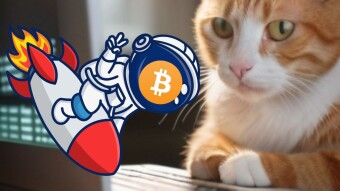 Biden, Kamala, and ETH: Why Your Crypto is Tanking (and It's NOT What You Think!)