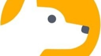 CoinDogs Project