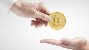 Satoshi Forest - some rich bitcoiner bought 8 acres of land to house homeless