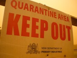 Quarantine (Part 3)
