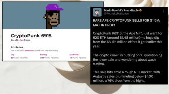 Rare CryptoPunk Ape Sells for $1.48M—A Deal or a Steal?