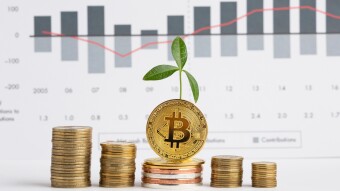 Cryptocurrency and Taxes: A Complete Guide for Investors in 2024