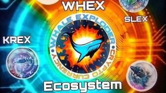 More than just a charity token? The WHEX Crypto Ecosystem