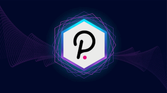 Polkadot (DOT) Cryptocurrency Explained & Micro-Earning Site to Earn Free DOT Crypto