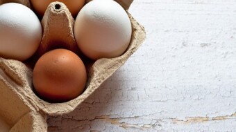 Chicken eggs