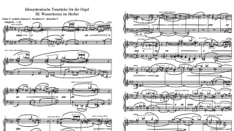 Idiosynkratische Tonstücke für die Orgel: III. Wasserkreise im Herbst [Philip Daniel; 2020]