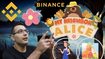 NFT e DeFi su Binance Smart Chain ed Ethereum - My Neighbor Alice