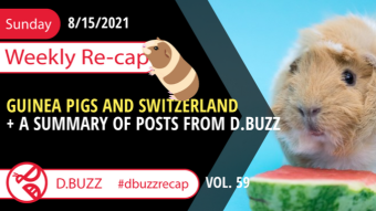 Recap of this Week's Posts by D.Buzz Vol.60