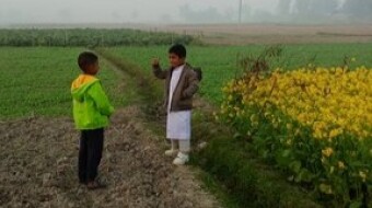 Innocence Blossoming in the Golden Fields