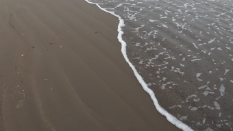 He Planned 🏖️ for the Sand - Why does God Allow...?