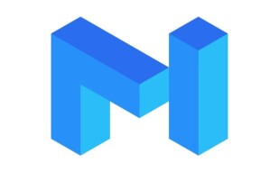 WHY IS THE MATIC NETWORK SO DOWN? THE MOST CURRENT DESCRIPTION.