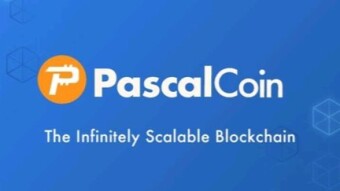 Fixing it with Pascal coin; Part 2: Community involvement and management.