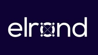 Elrond (ERD) - a hidden gem aiming for Top10