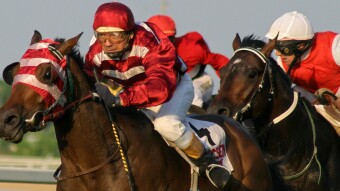 Follow The Tipster - #2