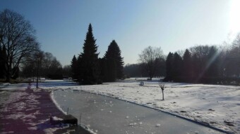 Winter is in retreat, and it's very pleasant - at least for a while - My Actifit Report Card: January 22, 2025