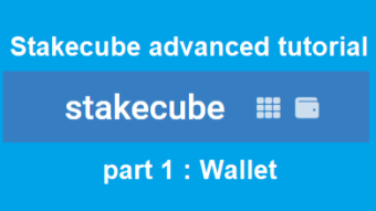 StakeCube advanced tutorial : Wallet (I)