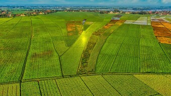 Look at Those Lush New Fields! New Balancer Farms on Harvest Bringing Some Stability to the Farms!