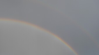 If I find favor with you, then accept my present from my hand - Daily Bible Reading: Monday, February 21, 2022