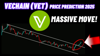 Massive Move Of VeChain | VET Price Prediction 2025!