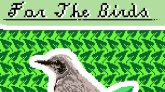 For The Birds. Card #1 Northern Mockingbird