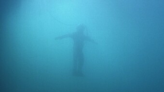 The Diving Bell and the Butterfly