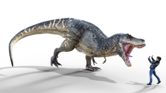Dinoswap's Teenage Crisis: Where do we go from here?
