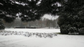 Not a very smooth transition from autumn to real winter - My Actifit Report Card: December 11 2022