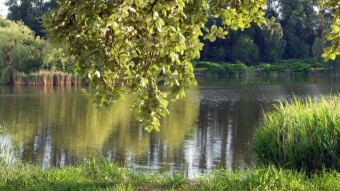 Cycling again, and very few walkers for the weekend - My Actifit Report Card: June 17 2023