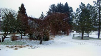 Quite an unpleasant snowy day and the return of winter - My Actifit Report Card: January 30 2023