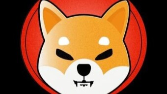 Shib inu coin 2nd highest market cap ??soon to be listed on binance. .