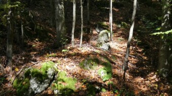Today some memories from the times of beautiful golden autumn - My Actifit Report Card: December 5 2022