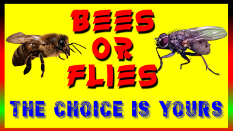 Cryptocurrencies Or Fiat Money? Bees Or Flies?