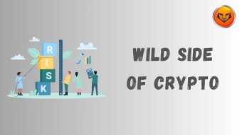 Wild Side of Crypto - Leverages & Hunt