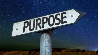 Our Purpose