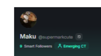 What Are Smart Followers in the Injective x Kaito Yapper Reward Program?