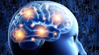 5 Everyday Experiences that Improve Your Brain