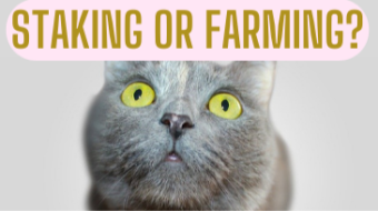 Staking Vs. Farming - How To Optimize Your Passive Income