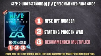 An Extraordinarily Interesting NFT Project